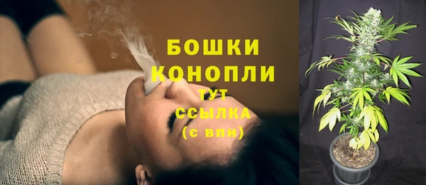 ГАЛЛЮЦИНОГЕННЫЕ ГРИБЫ Абаза