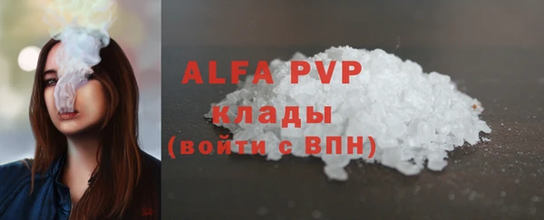 стаф Абинск