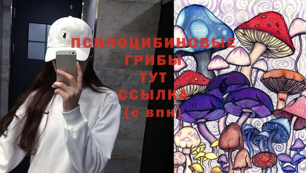 бутират Алексин